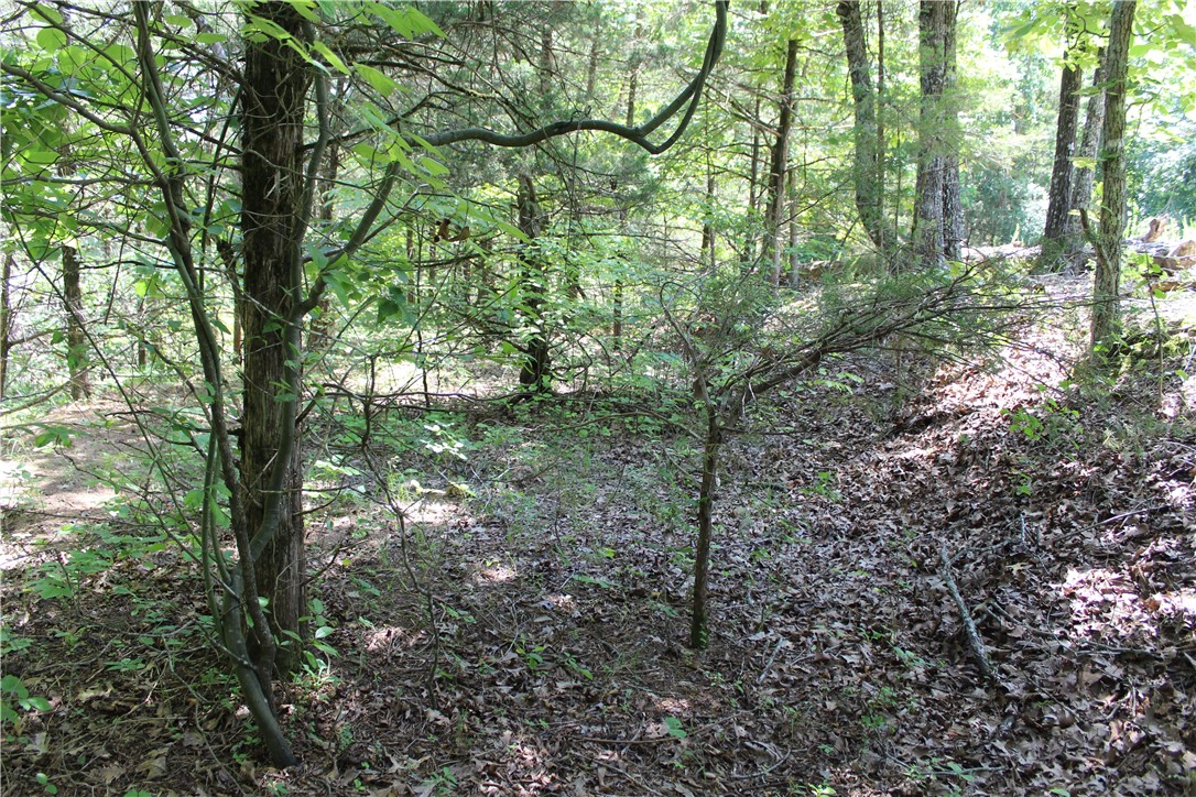 Image 13