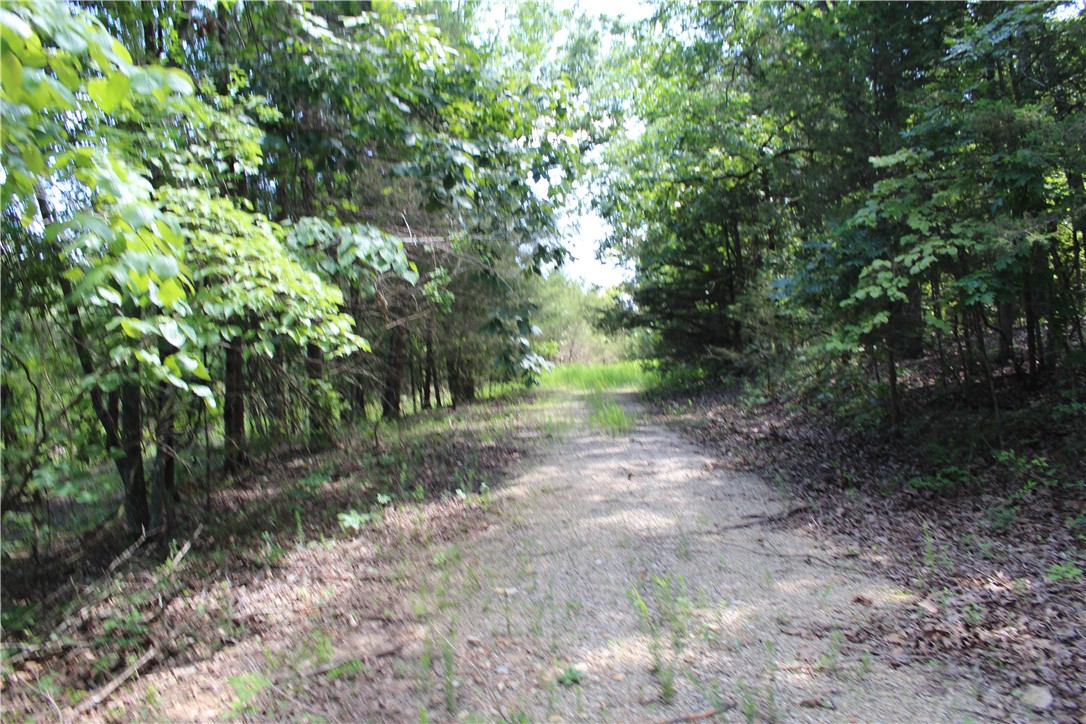 Image 14