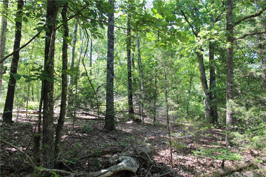 Image 15