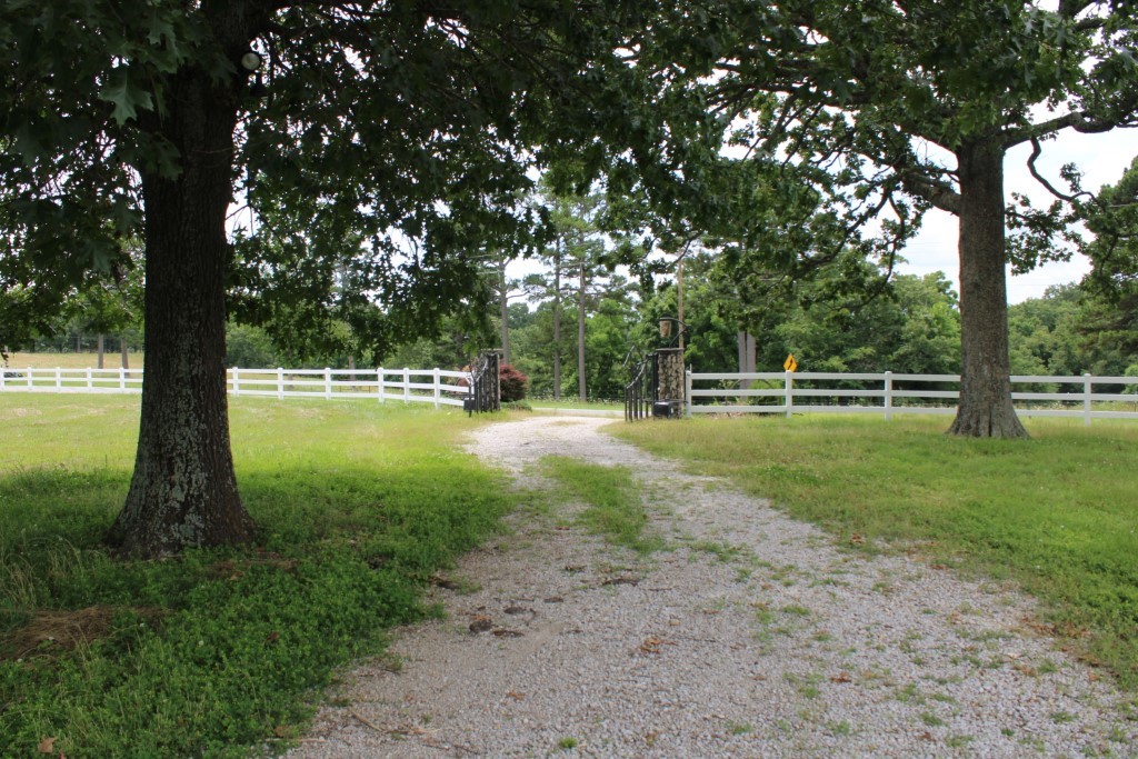 Image 54