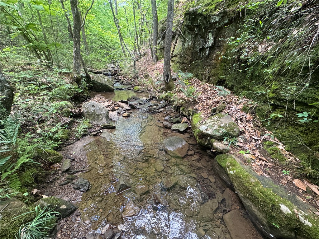 Image 13
