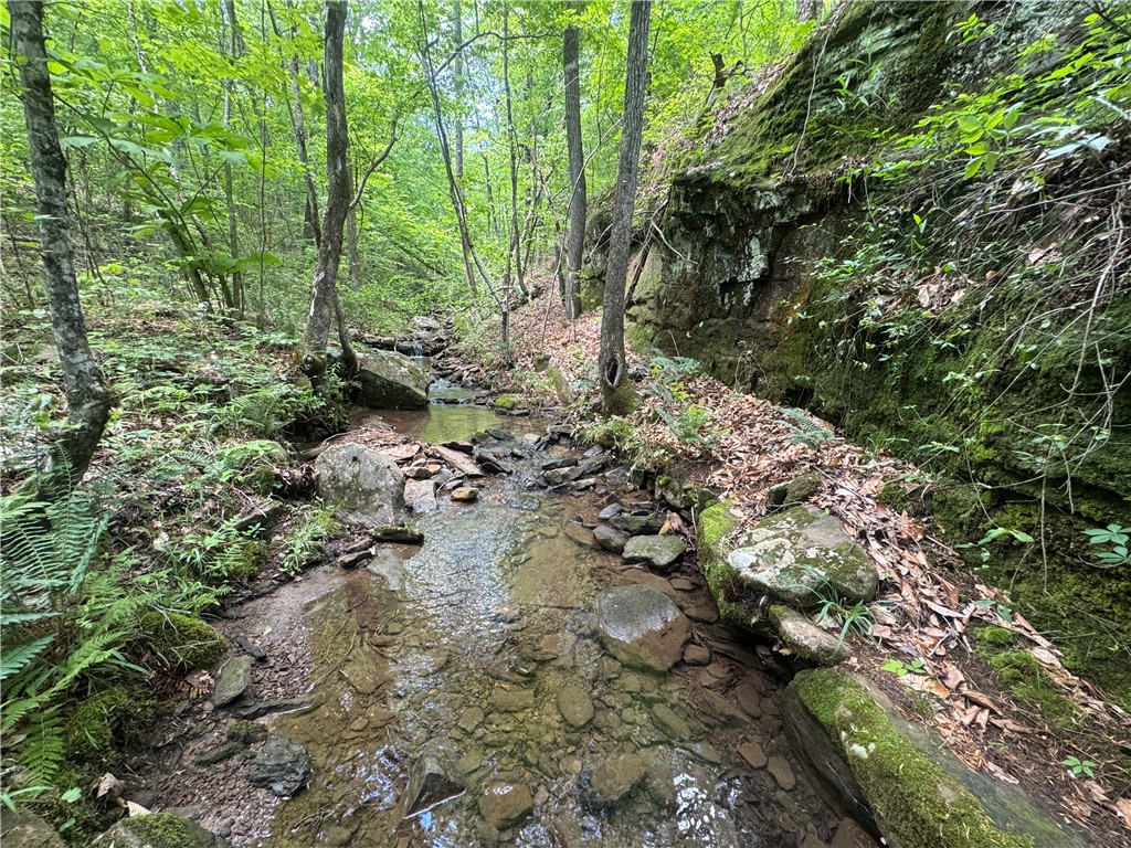 Image 14