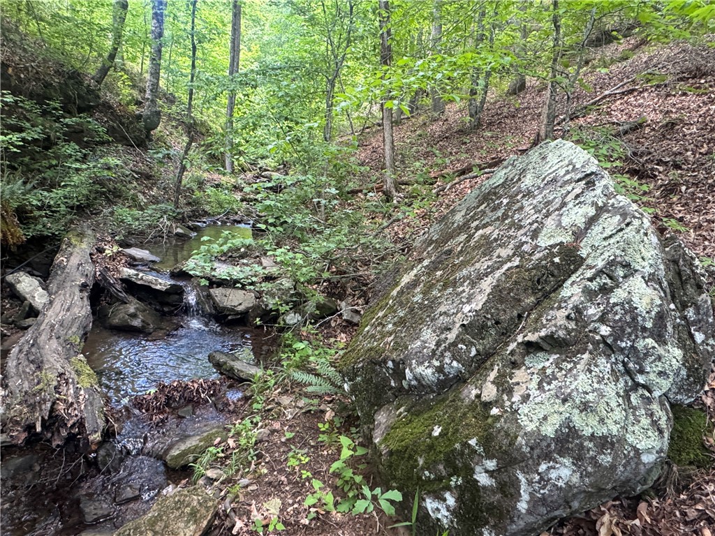 Image 15