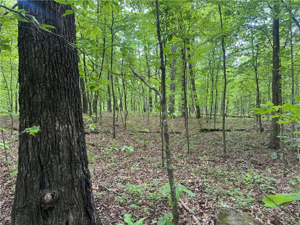 Image 19
