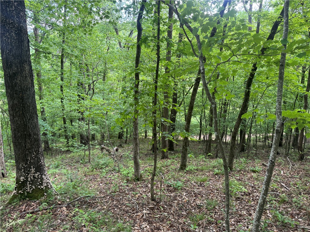 Image 21