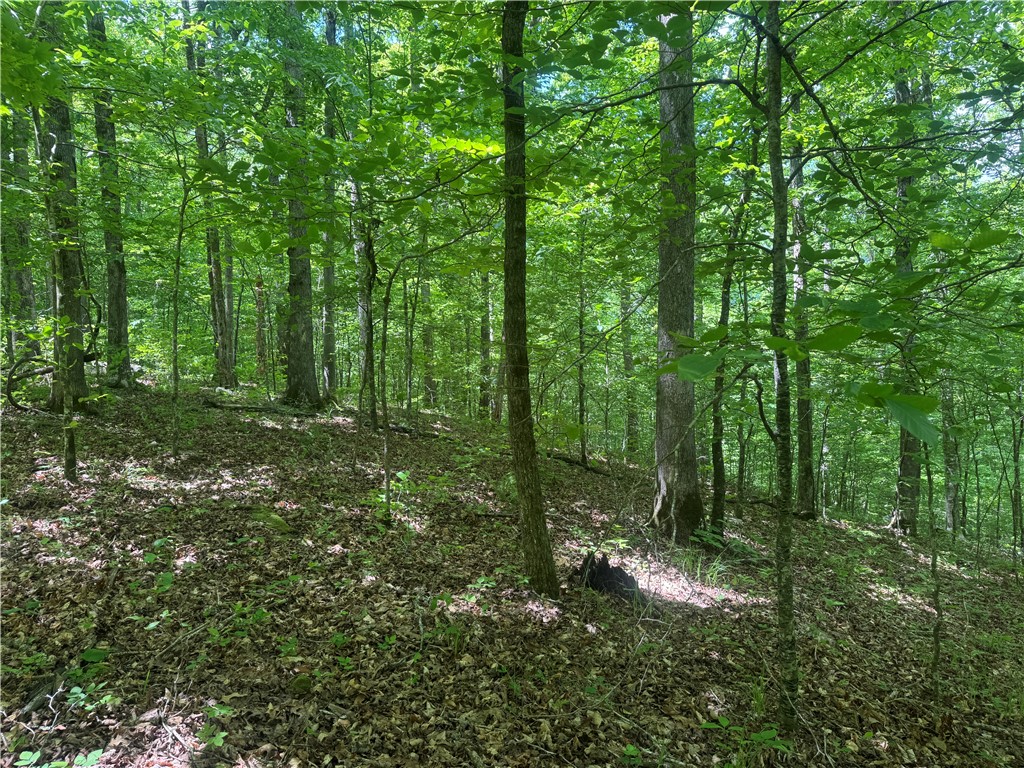 Image 12
