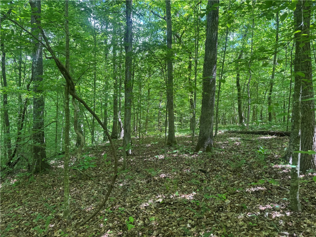 Image 13