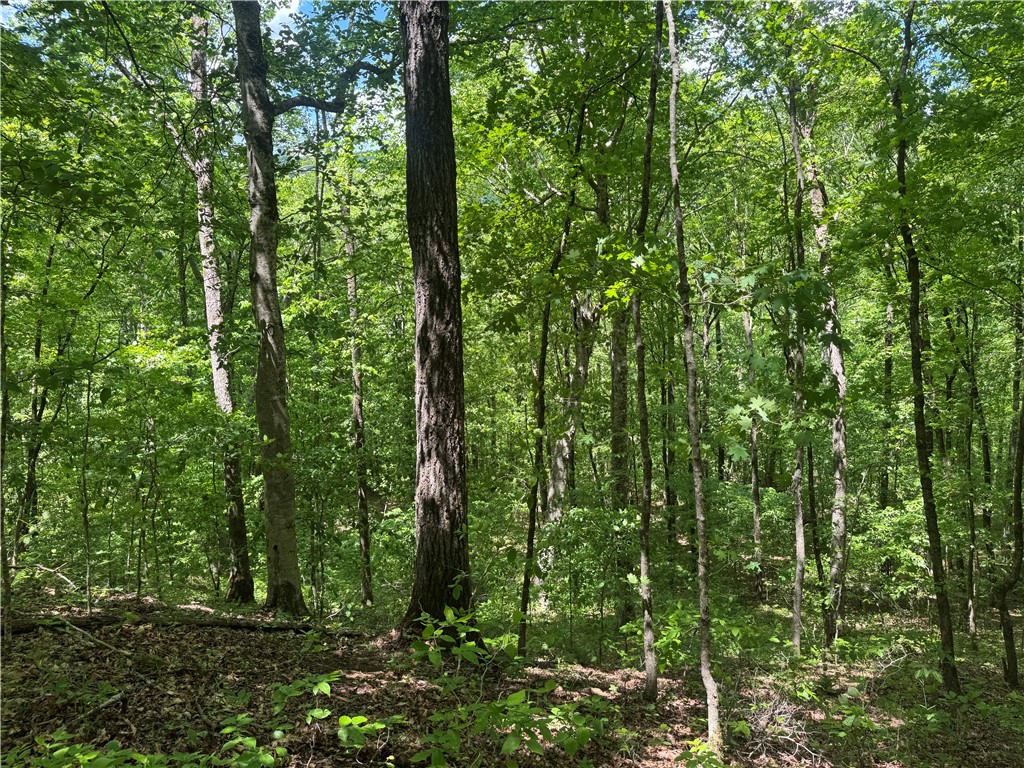 Image 14