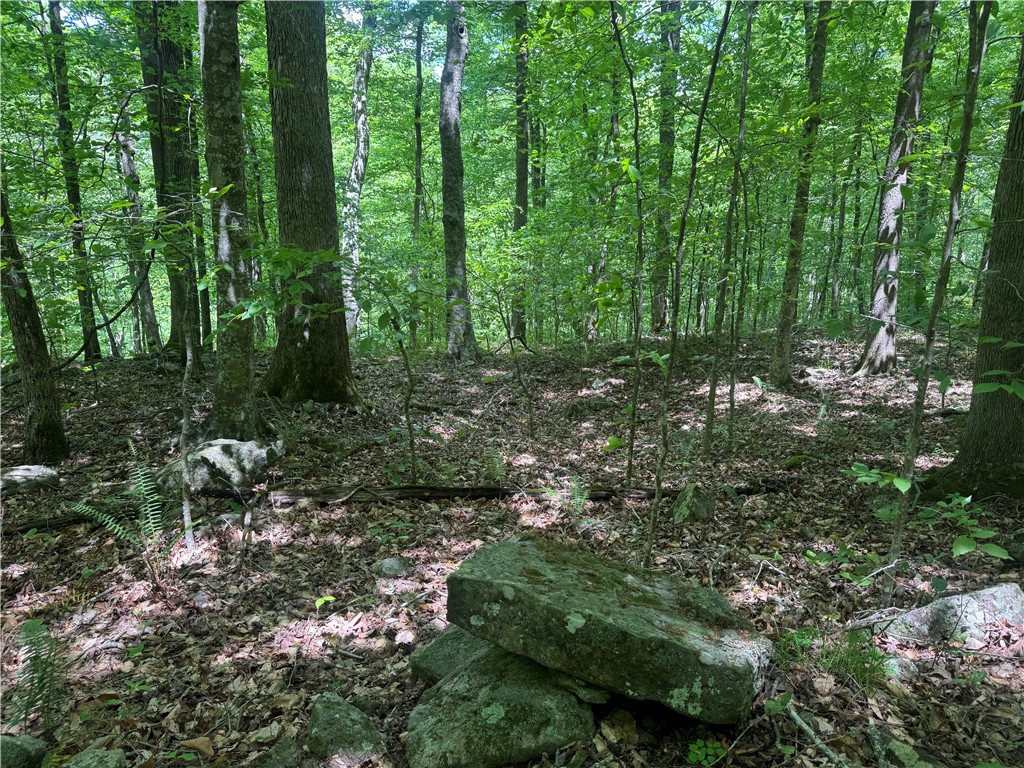 Image 16