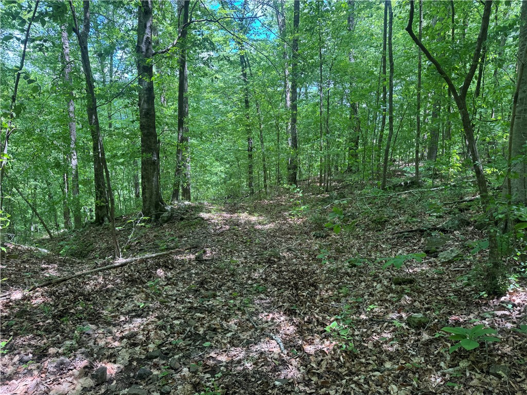 Image 18