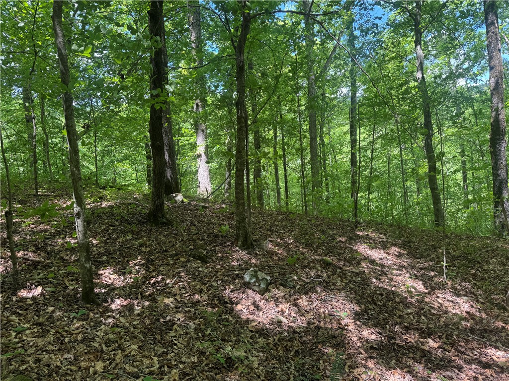 Image 19