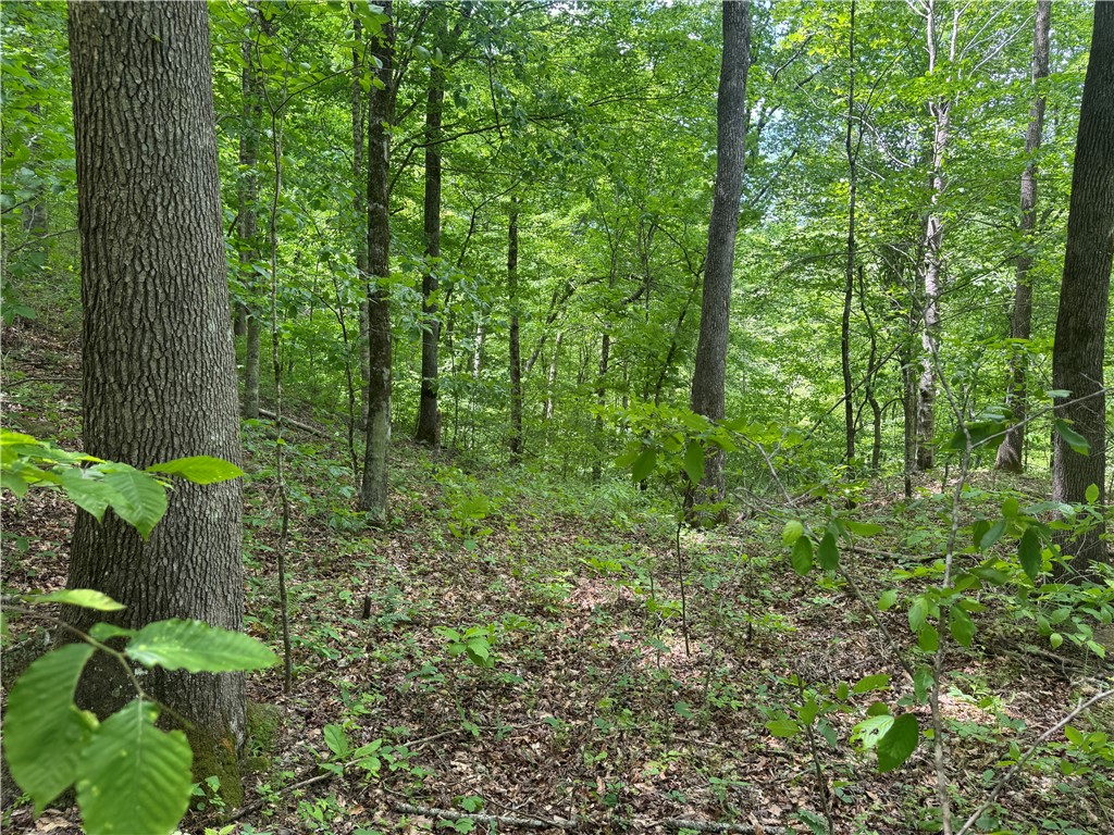 Image 21