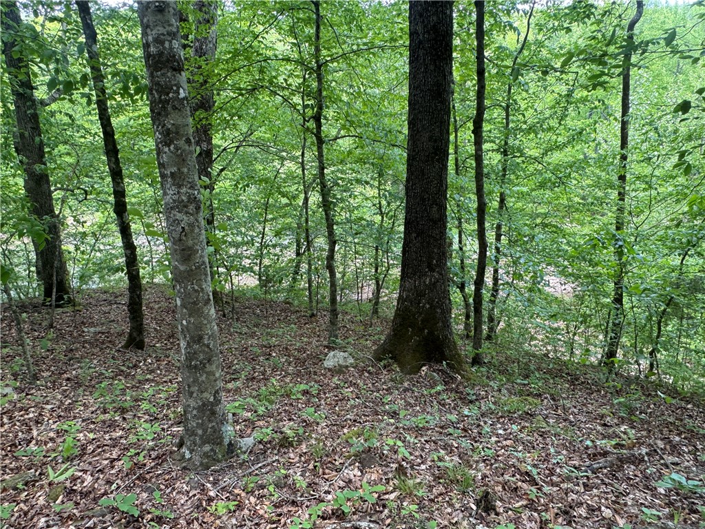 Image 22