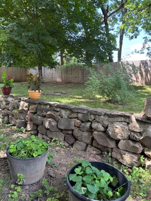 Image 31