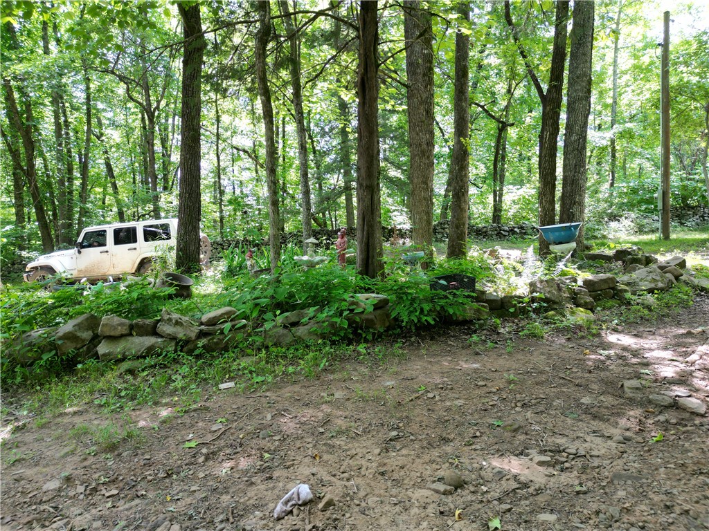Image 43