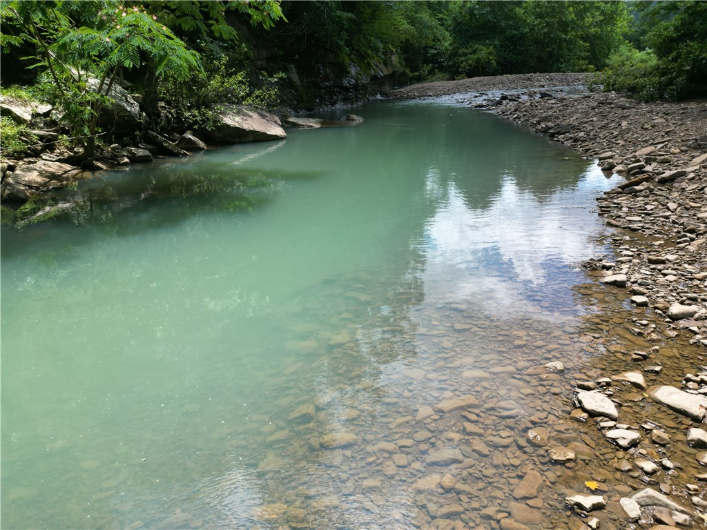 Image 45