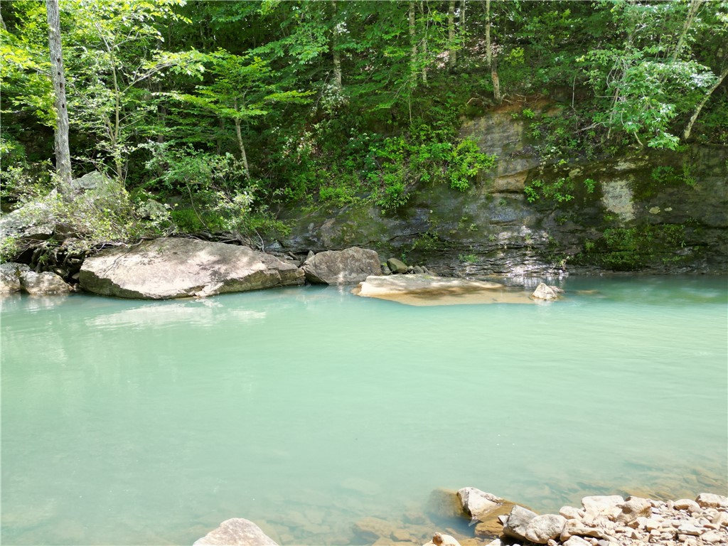 Image 46