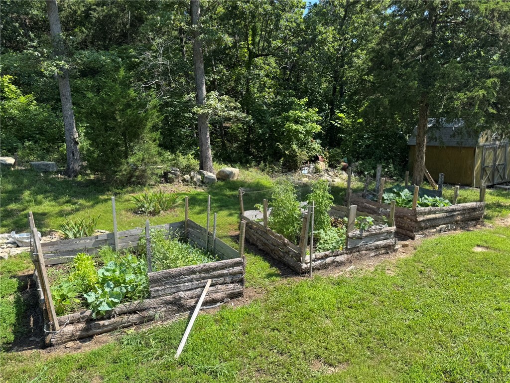 Image 19