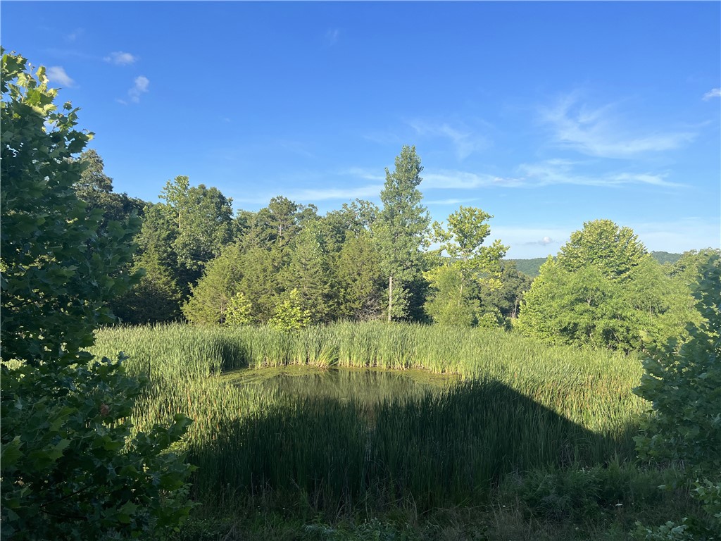 Image 41