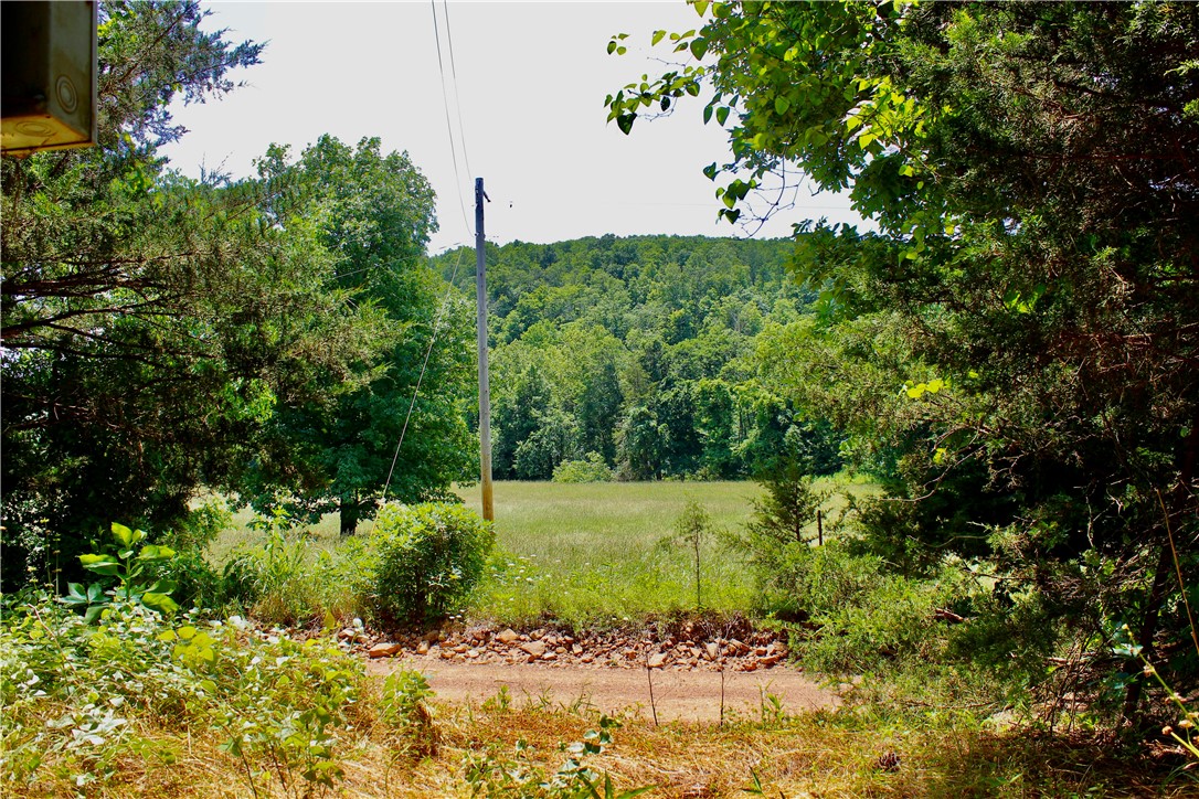 Image 13