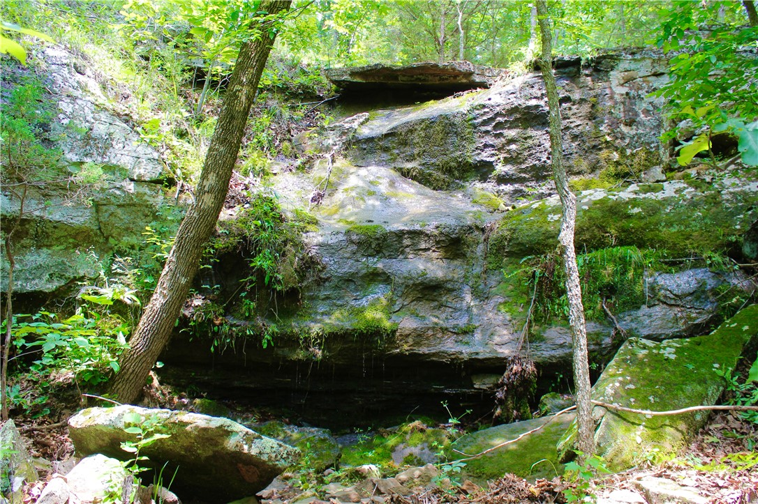 Image 18