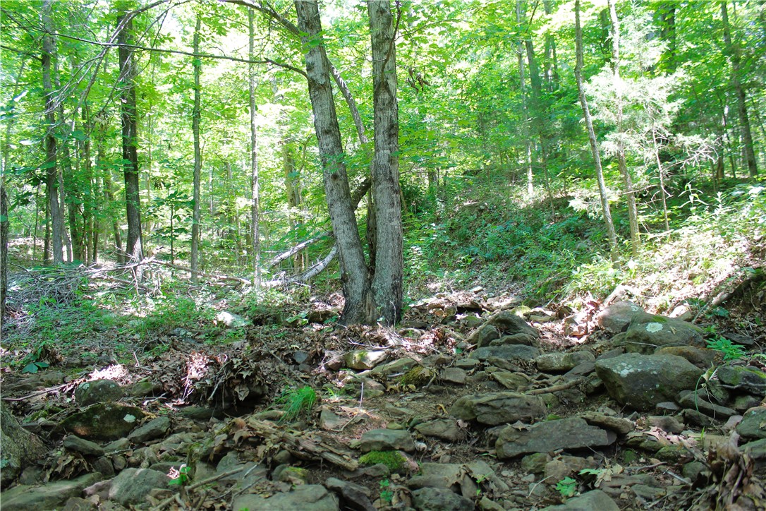 Image 33