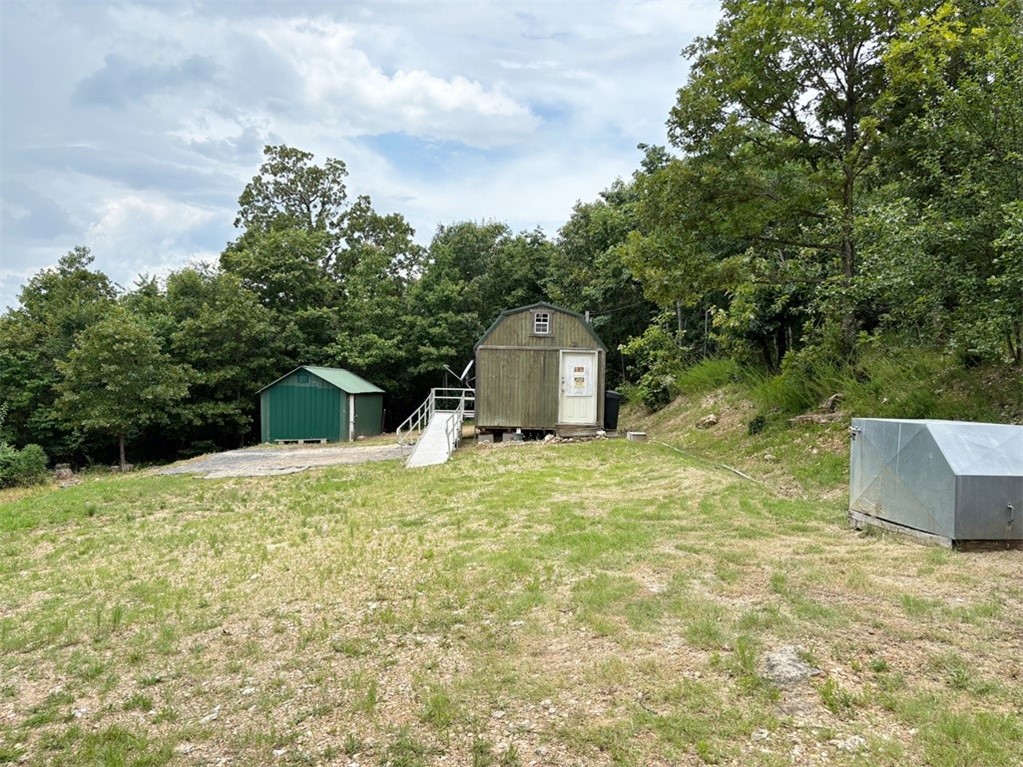 Image 11