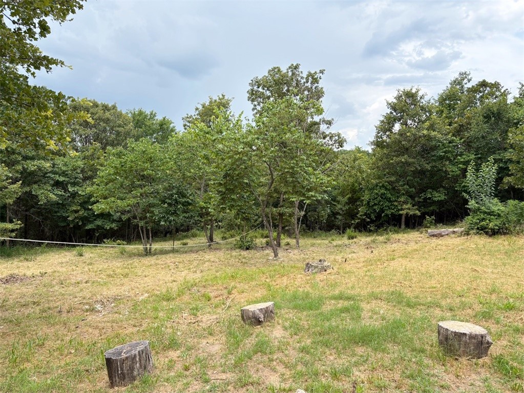 Image 15