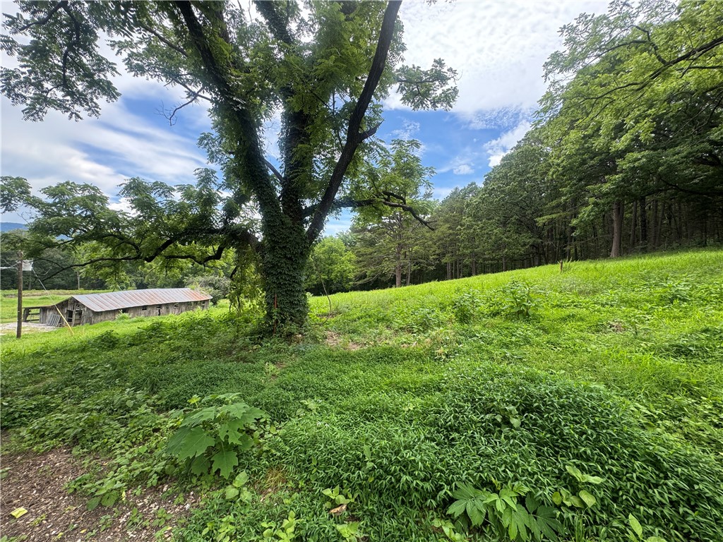 Image 15