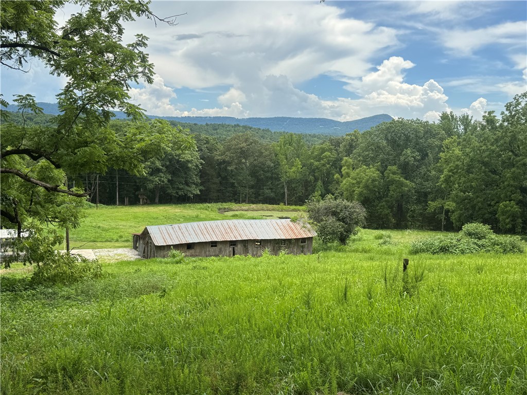 Image 22