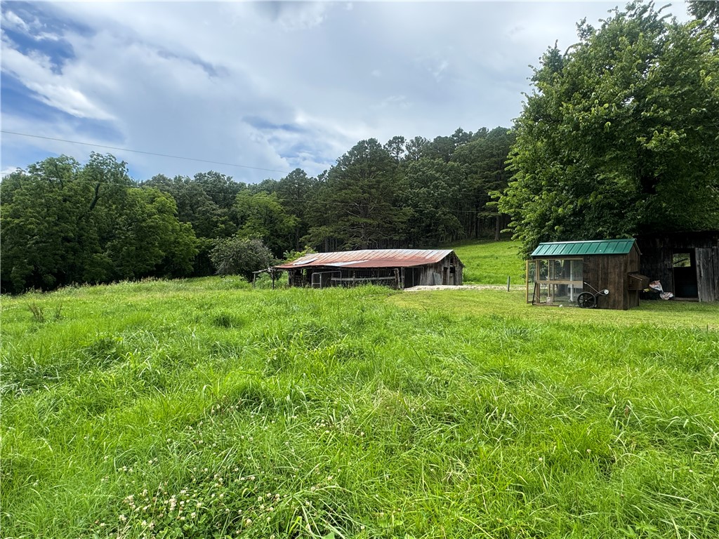 Image 25