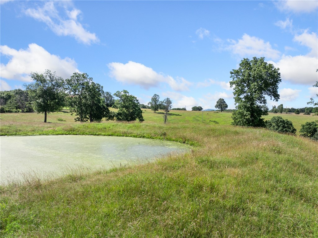 Image 31
