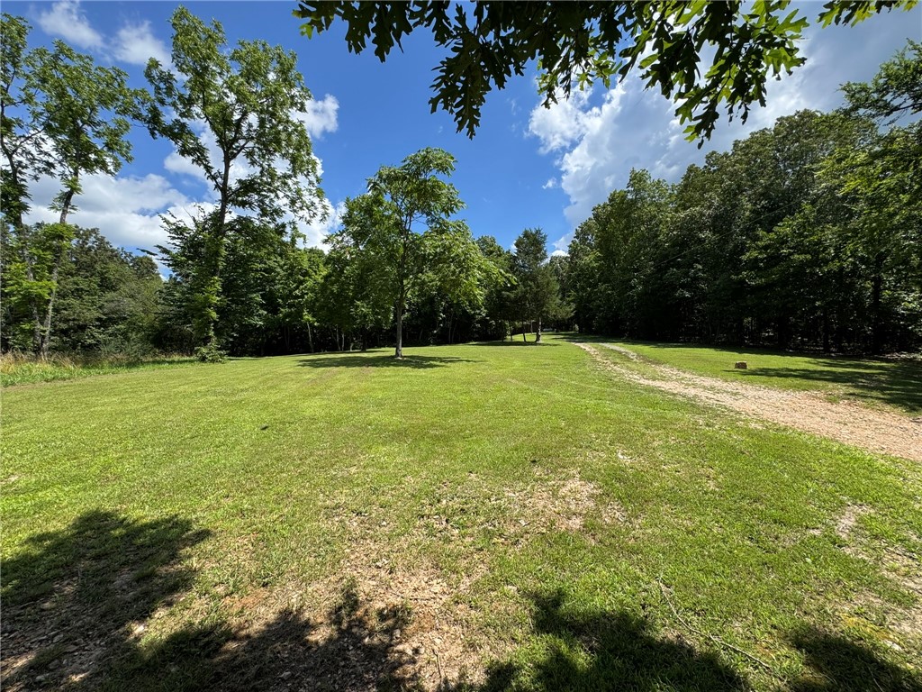 Image 15