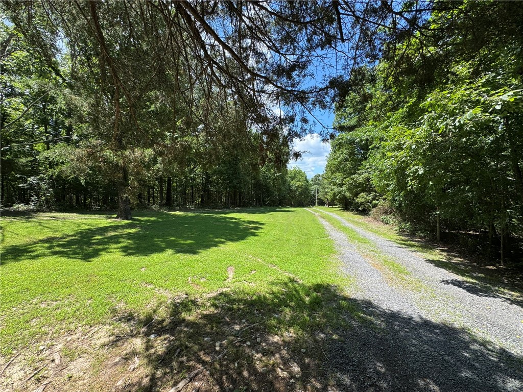 Image 19