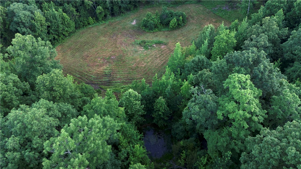 Image 13