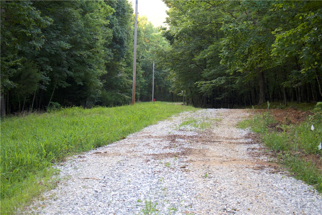 Image 15