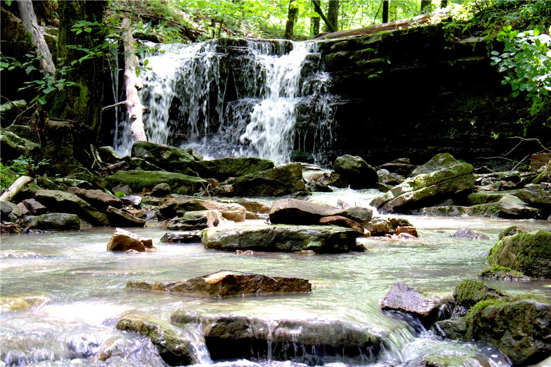 Image 32