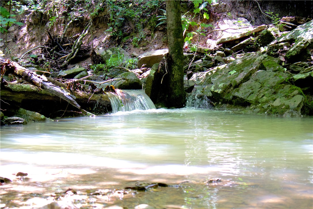 Image 33