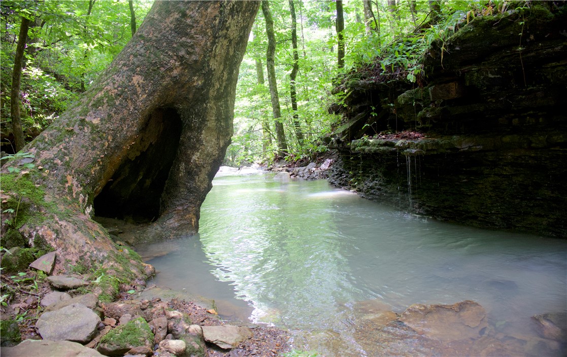 Image 36