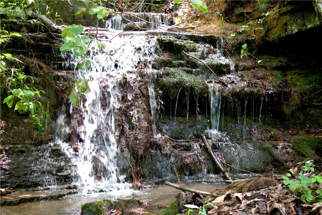 Image 38