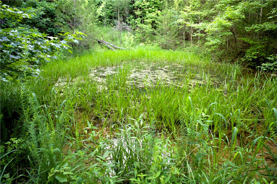 Image 41
