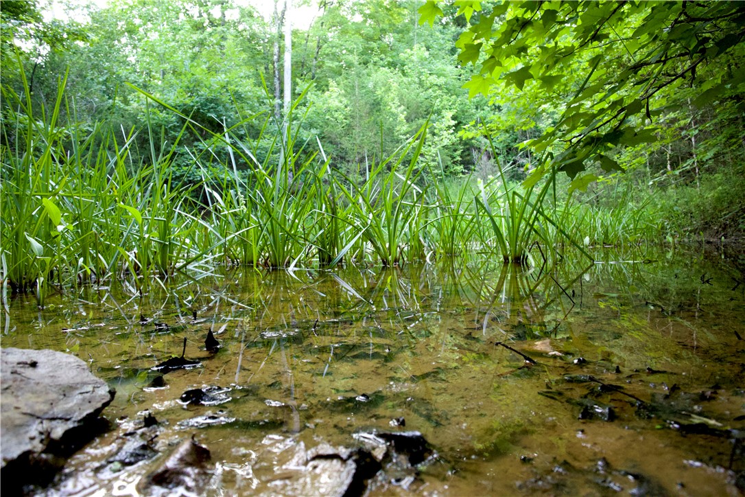 Image 44