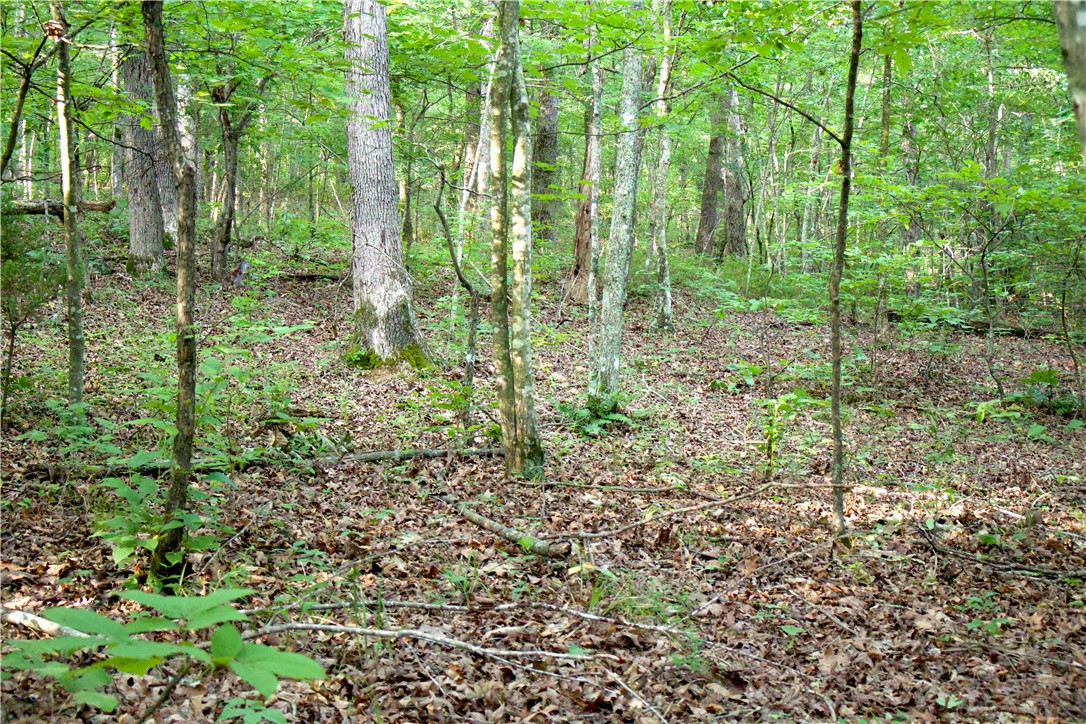 Image 48