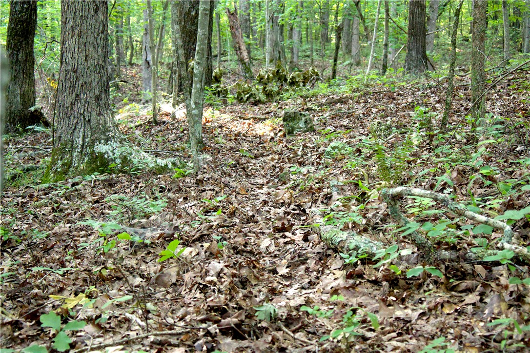 Image 49