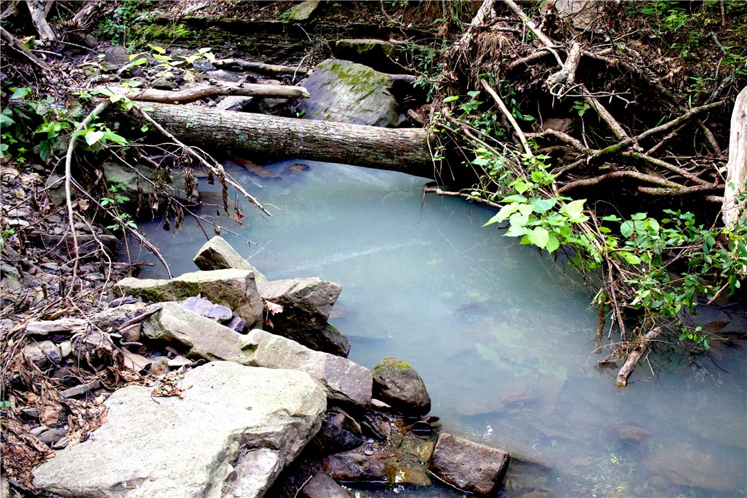 Image 50