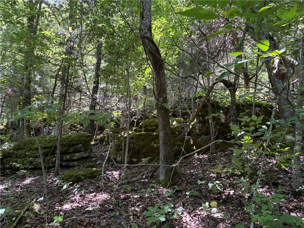 Image 9