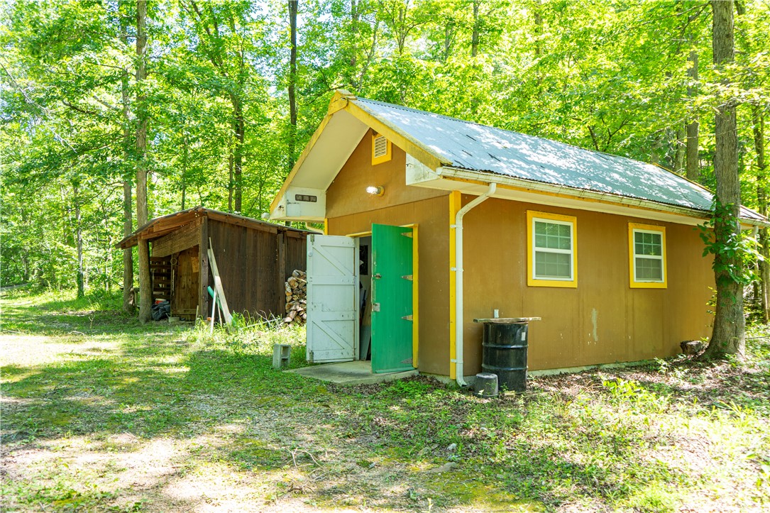 Image 6