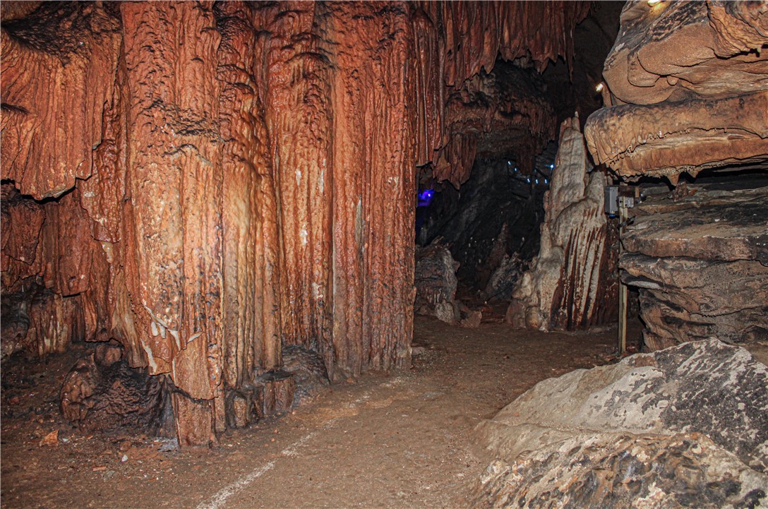 Image 12