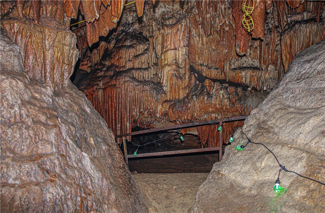 Image 19