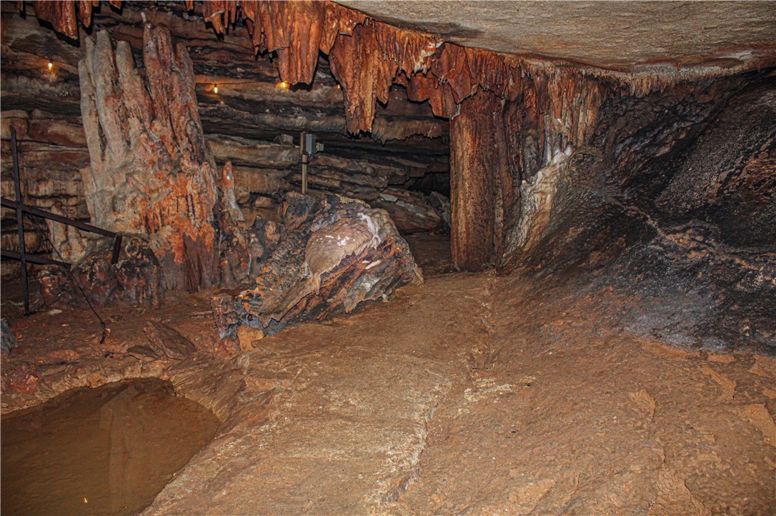 Image 21